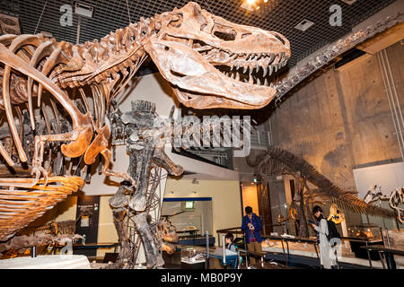 Le Japon, Honshu, Tokyo, Ueno Park, Musée National de la nature et de la Science, expositions de dinosaures Banque D'Images