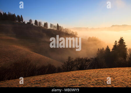 Aebersold, les Alpes, les montagnes, l'Oberland bernois, arbres, Emmental, Europe, paysages, la lumière de l'humeur, brouillard, Oberhünigen, Suisse, sunrise, hiver Banque D'Images