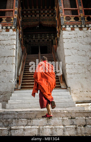 Thimphu, Bhoutan - 9 avril 2016 biddhist non identifié : moine avec des robes traditionnelles entrent dans le Tashichho Dzong monastère, Thimphu, Bhoutan. - Le Banque D'Images