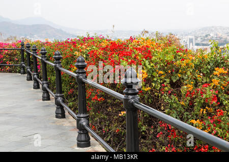 Mains courantes en acier dans un gazebo avec des fleurs jaune et rouge Banque D'Images