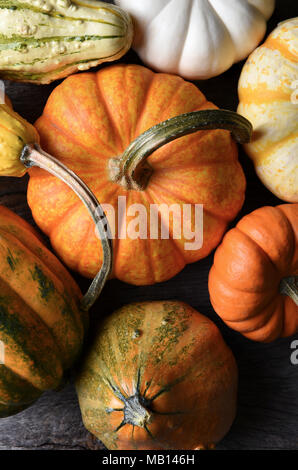 Passage libre tourné d'un groupe d'objets décoratifs Citrouilles, Courges et gourdes. Format vertical. Banque D'Images