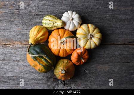 Shot Gros plan d'un groupe d'objets décoratifs Citrouilles, Courges et gourdes avec copie espace. Banque D'Images