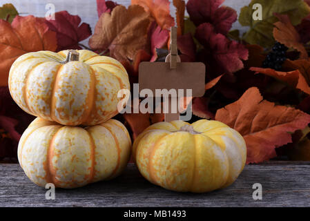 L'automne ferme Stand avec trois citrouilles blanches : vierge signe et Automne Leves Banque D'Images