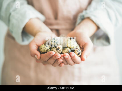 Vacances de Pâques, carte de vœux. Oeufs de caille en couleur naturelle avec des mains féminines, selective focus, composition horizontale Banque D'Images