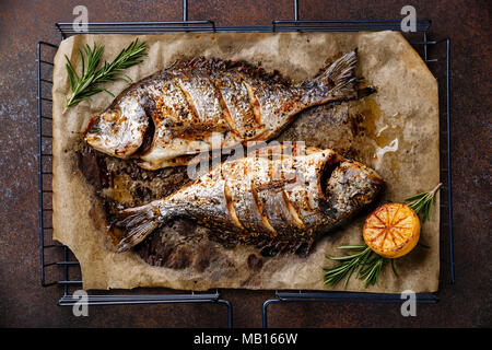 Les poissons grillés Dorado sur grille métallique grille avec le citron et le romarin sur fond sombre Banque D'Images