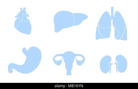 L'icône d'organes humains médecine. logo symbole Coeur poumons estomac foie rein sein innovation centre médical couleur plate vector illustration Illustration de Vecteur