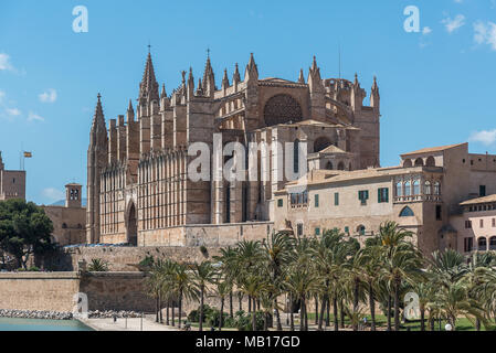 La Seu - die Kathedrale gotische à Palma de Mallorca, dans der Seitenansicht Banque D'Images