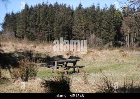 À l'embargo vendredi 6 avril 0001 Ballypatrick Forest en Co Antrim où le corps de 18 ans, Maria Hauser a été trouvé d'Inga le 20 avril 1988. Banque D'Images