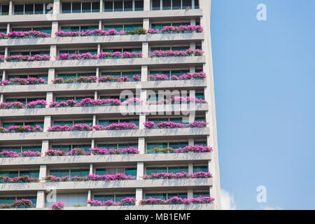 Bougainvilliers roses plantés sur le balcon de Marina Bay Sands et ciel bleu sur la droite. Banque D'Images