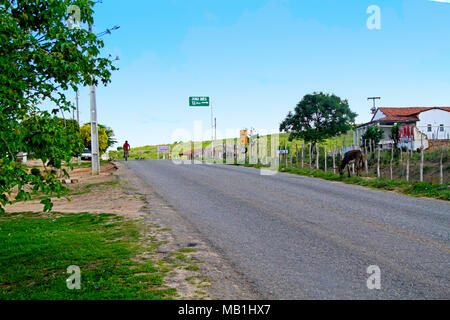 Road PB-073, Paraiba, Brazil Banque D'Images