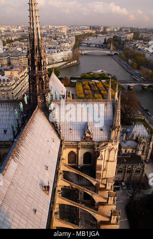 Sur le toit de Notre Dame et de Seine, Paris, France Banque D'Images