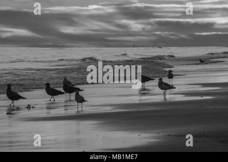 Coucher du soleil avec le feu dans le ciel - Emerald Isle Beach en Caroline du Nord. Voir la beauté dans le ciel sous les nuages se rassembler dans les peints en rouge, orange, rose, ardent Banque D'Images