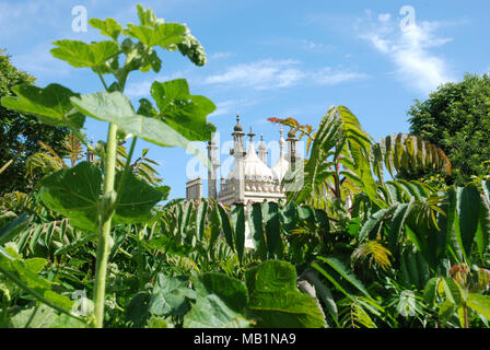 Brighton Pavilion ou le Pavillon Royal derrière les buissons et arbres Banque D'Images