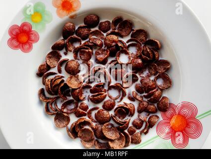 Flocons de maïs avec du lait au chocolat Banque D'Images