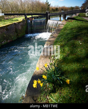 D'Écluses du canal, montrant les eaux de crues, East Yorkshire, England, UK. Banque D'Images