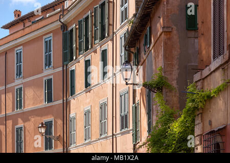 Recherche le long de la face de l'appartement buidlings de plantes grimpantes sur une rue dans la région de Trastevere, Rome, Italie. Banque D'Images