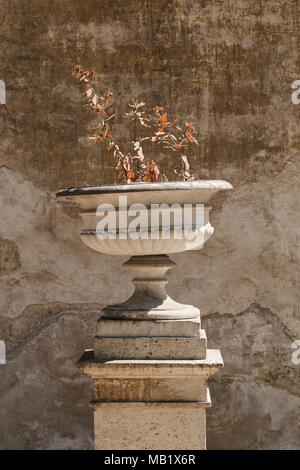 Un ancien de l'urne dans les jardins de Villa Borghese à Rome, Italie. La moitié supérieure inclinée et presque plante morte a fait une composition intéressante contre le blé Banque D'Images