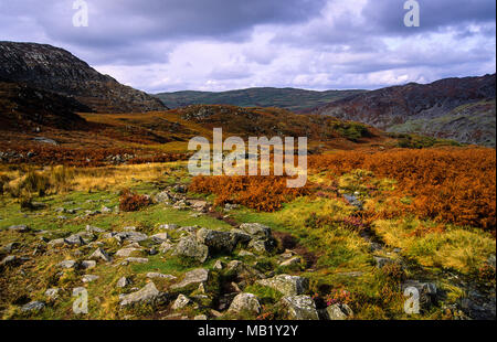 Rhinogydd mcg Bychan Mountain, Montagne, Parc National de Snowdonia, Pays de Galles, RU, FR. Banque D'Images