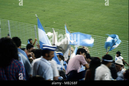 Coupe du Monde FIFA 1982 - Espana (Espagne 1982) 13.6.1982, Camp Nou, Barcelona. Coupe du Monde FIFA 1982 - match d'ouverture (Gropup 3) Argentine / Belgique. Les partisans de l'Argentine. Banque D'Images