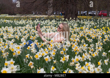 Greenwich, London, UK. 06 avril 2018. Météo France : Elizabeth Cooper photographié appréciant le beau temps dans le parc de Greenwich jonquilles ce matin. Crédit : Rob Powell/Alamy Live News Banque D'Images