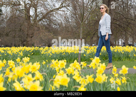 Greenwich, London, UK. 06 avril 2018. Météo France : Elizabeth Cooper photographié appréciant le beau temps dans le parc de Greenwich jonquilles ce matin. Crédit : Rob Powell/Alamy Live News Banque D'Images