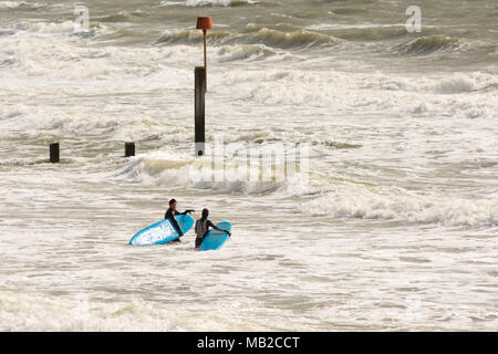 Surfeurs entrant dans la mer à Boscombe, Bournemouth, Dorset, Royaume-Uni, avril 2018 portant des planches de surf bleues à travers l'eau blanche des vagues. Banque D'Images