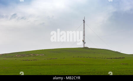 Tour de l'antenne cellulaire sur une colline verte Banque D'Images