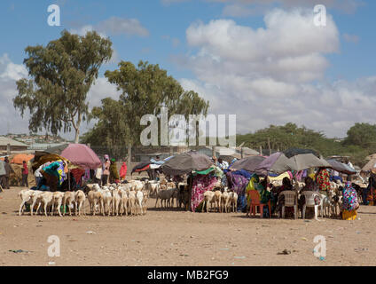 Population somalienne dans le marché de l'élevage, Woqooyi Galbeed, Hargeisa, Somaliland région Banque D'Images