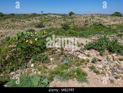 Ruines à cheikh montagnes, Togdheer, Cheikh, le Somaliland Banque D'Images