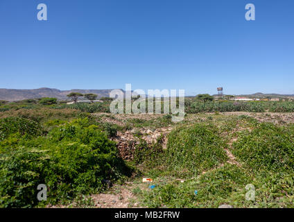 Ruines à cheikh montagnes, Togdheer, Cheikh, le Somaliland Banque D'Images