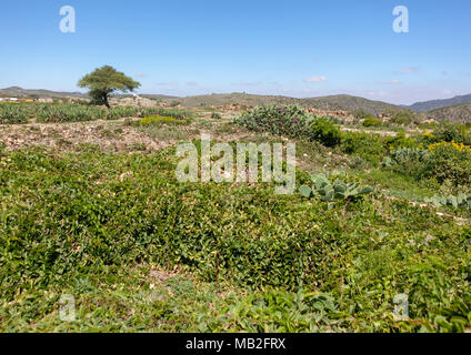 Ruines à cheikh montagnes, Togdheer, Cheikh, le Somaliland Banque D'Images