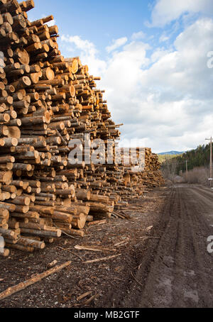 Des piles de billes de qualité pâte la ligne mill road, sur le chantier, à Fodge Produits de pâte, de Bonners Ferry (Idaho). Fodge Produits Pâte à bois pâte est un proce Banque D'Images