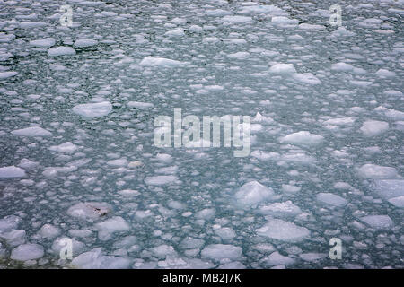 Morceaux de glace détachés du Glacier Pía, fjord Pía, dans le canal de Beagle (nord-ouest), PN Alberto de Agostini, la Terre de Feu, Patagonie, Chili Banque D'Images