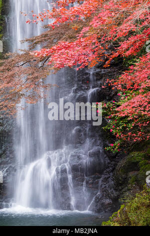 En automne cascade Minoo, Osaka, Japon Banque D'Images