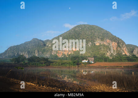 Panorama des mogotes et étang dans la vallée de Vinales Banque D'Images