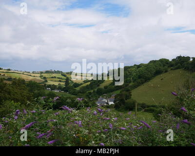 Un paysage de printemps dans le Devon, Royaume-Uni. Banque D'Images