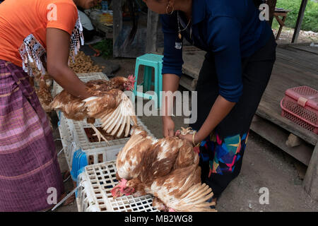 Des poulets vivants et morts sont en vente à l'Demoso marché dans l'État de Kayah Banque D'Images