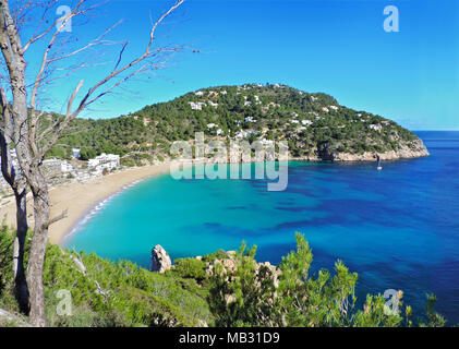 Belle plage aux eaux turquoises et de pins. Vue panoramique sur Cala San Vicente, l'île d'Ibiza. Banque D'Images