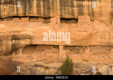 Fire Temple House, Mesa Verde National Park, Colorado Banque D'Images