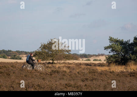 Couple sur des vélos à 'réserve naturelle de Loonse en Drunense Duinen'avec la chaleur et le sable dans les Pays-Bas Banque D'Images