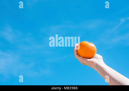 Young Caucasian Female Hand Holding Ensemble Orange mûrs sur fond de ciel bleu. Les vacances d'été Wanderlust Voyager Concept. Poster Banner Placeholder Banque D'Images