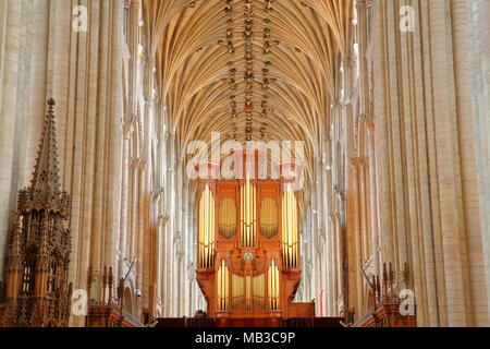 NORWICH, UK - 31 mars 2018 : Les colonnes et la voûte de la cathédrale vue du presbytère avec l'orgue dans l'arrière-plan Banque D'Images