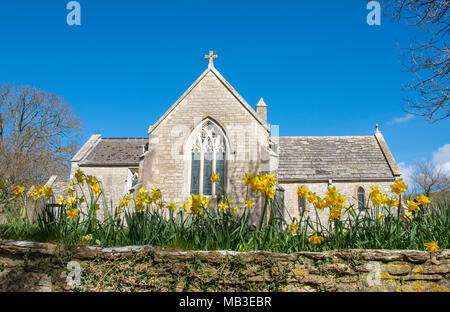 À l'église du village fantôme Tyneham, Dorset UK encadrée par les jonquilles Banque D'Images