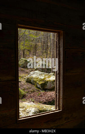 Une vue de Tishomingo State Park dans le Mississippi à partir d'une vieille cabane de homestead. Banque D'Images