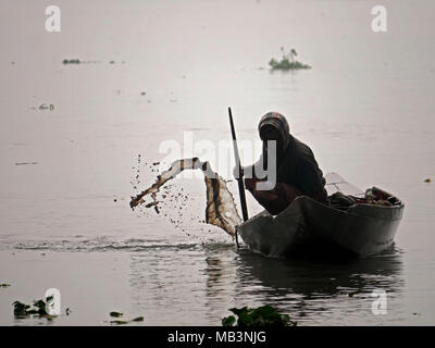 Un pêcheur vu essayer d'attraper quelques poissons. Dans le delta des rivières Ganga (Padma), du Brahmapoutre et de la Meghna personnes vivent sur l'eau. La zone autour de la ville Banaripara est inondé avec de l'eau. Les gens vivent dans des villages sur les rives de rivières. Le transport routier n'est possible. Juste de l'eau et les navires les connecter avec le reste du monde. Mais le quartier est très animé. Les agriculteurs cultivent des fruits, des légumes, du riz et des cultures sur 2 700 kilomètres carrés de terres entre les rivières. Visitez les fournisseurs leur client sur les bateaux. Marchés flottants avec des légumes, des fruits, du riz ou du bois sont communs dans ce domaine. Les gens à construire Banque D'Images