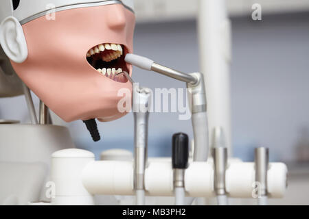 Mannequin ou dummy pour dentiste étudiants la formation dans les facultés dentaires d'écoles de médecine et les universités Banque D'Images