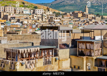 Maroc FES MEDINA SOUK TANNERIE tannerie de peaux de mouton SÉCHANT AU SOLEIL VUE DE LA TOUR DE LA MOSQUÉE et les collines au loin Banque D'Images