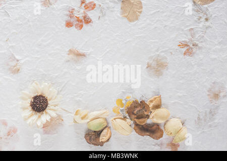 Fleurs séchées de fond sur fond blanc. Mise à plat, vue du dessus. Motif floral Banque D'Images