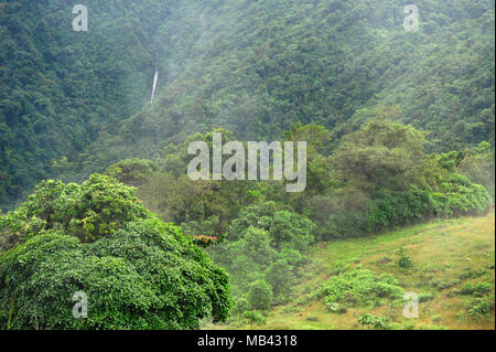 Une cascade lointaine et luxuriant paysage routière entourent Valverde Vega au Costa Rica. Banque D'Images