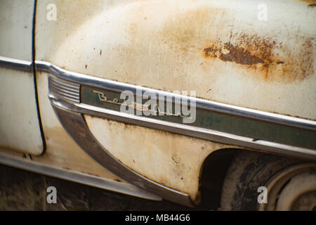 Une 1953 Chevrolet Bel Air 2 portes berline, dans une zone boisée, à Noxon, Montana Cette image a été prise avec un ancien objectif Petzval et va montrer des signes de di Banque D'Images